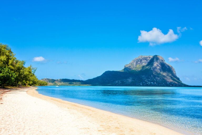 ile aux Benitiers avec vue sur le Morne Brabant