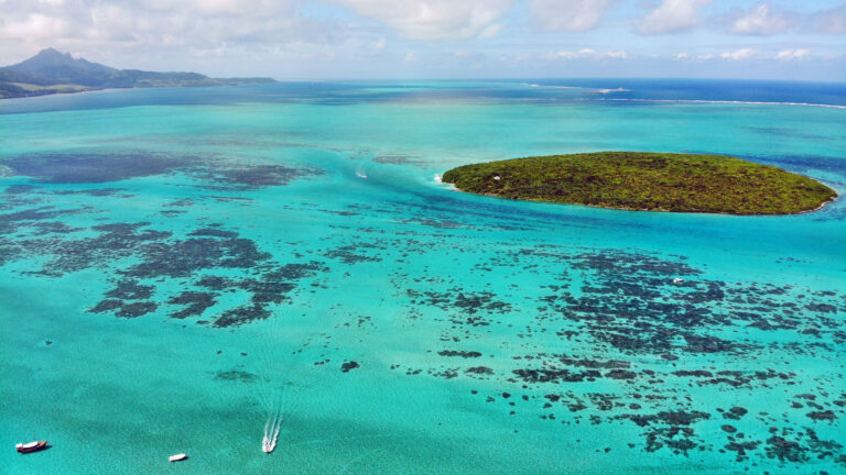 L'Ile aux Aigrettes ile maurice